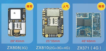 十年專注，領(lǐng)航未來 一家GPS電子寵物研發(fā)企業(yè)的創(chuàng)新之路